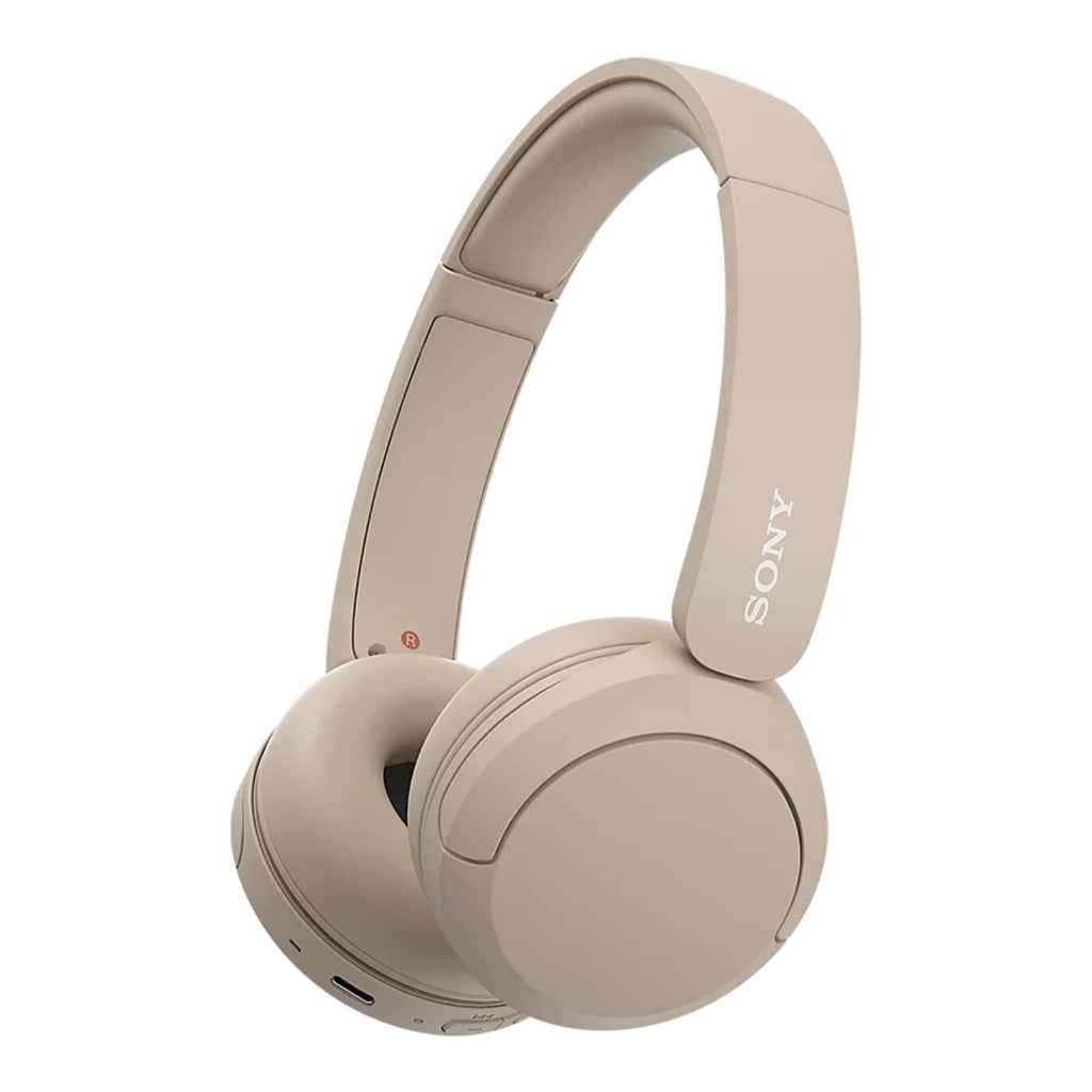 Sony WH-CH520 Overhead Headphone